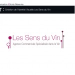 Les-Sens-du-vin